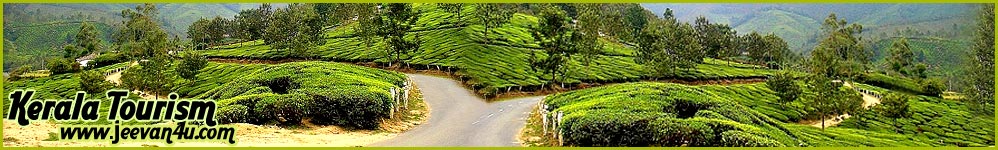 Munnar Tour Attractions